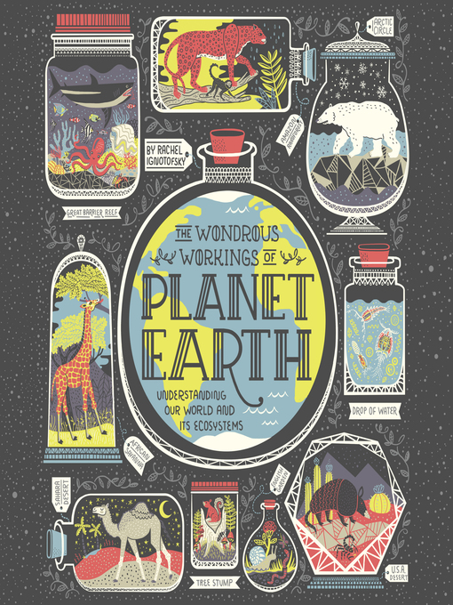 Title details for The Wondrous Workings of Planet Earth by Rachel Ignotofsky - Wait list